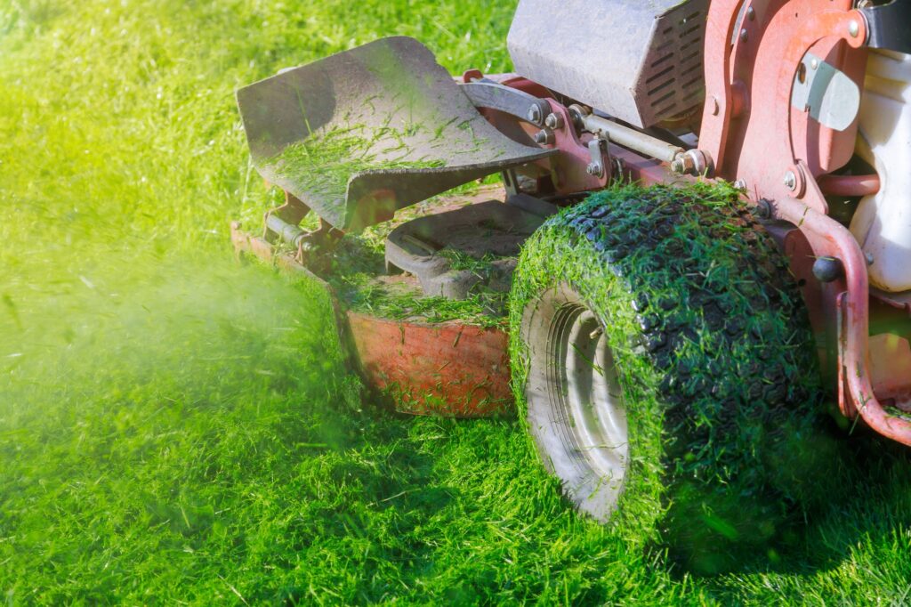 Close up of man worker cutting grass in summer with a professional gardener mowing lawn