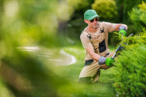 garden worker trimming decorative garden plants 2021 08 28 19 19 32 utc